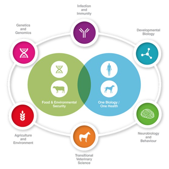 One Heath Infographic