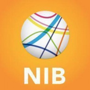 NIB logo