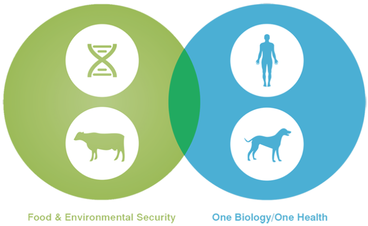 One Health diagram