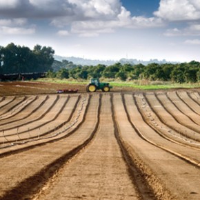 Agriculture farming image representing research at Scotlands Rural College (SRUC) 