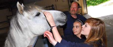 Young children meeting horse