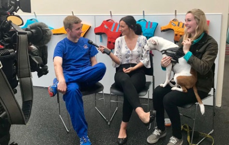 photo of Calvin the staff with his owner and vet during STV interview - image credit University of Edinburgh