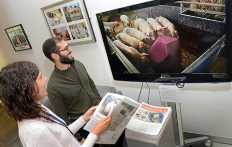 photo of two people watching the Carnevale video on screen - image credit The Roslin Institute