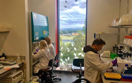 photo of Ingenza staff working lab at Roslin Innovation Centre with a view over Easter Bush Campus 