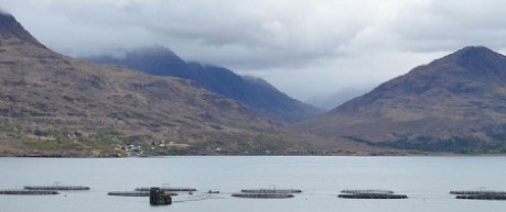 A Scottish fish farm - credit the Roslin Institute