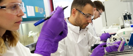 Ingenza scientists in lab at Roslin Innovation Centre