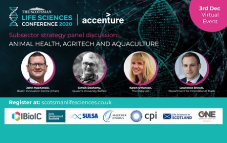 Scotsman Life Sciences Conference 2020 - panel discussion team on Animal Health, Agritech, Aquaculture 