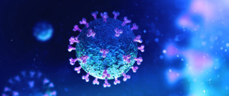 The COVID-19 virus under a microscope - credit Roslin Innovation Centre