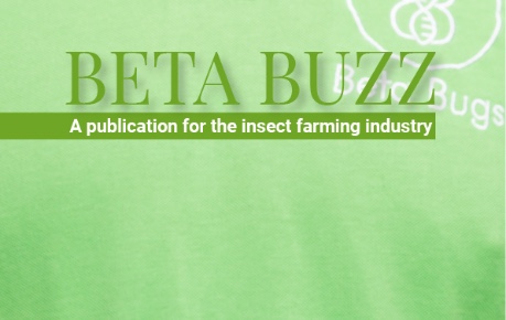 Beta Bugs Ltd launch Beta Buzz, a new insect farming industry publication