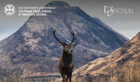 The University of Edinburgh Dick Vet News graphic featuring a stag and a mountain background