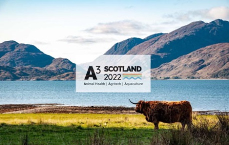 We Are Aquaculture feature - A3 Scotland Highland Cow 