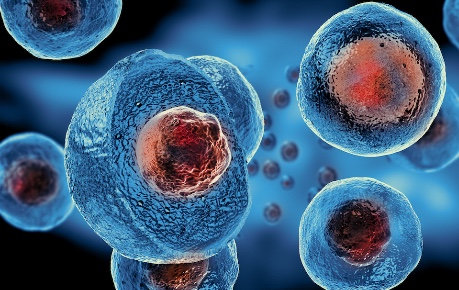 Cytomos cell analysis - credit Cytomos, a Roslin Innovation Centre tenant