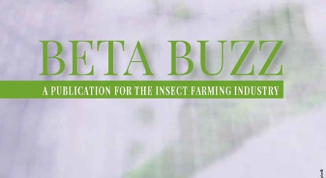 Beta Buzz front cover - insect farming publication by Beta Bugs