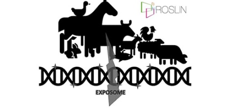 Livestock Epigenomics Workshop graphic - Roslin Institute