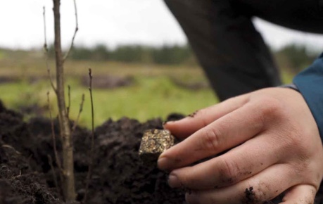 Rhizocore Technologies Rhizopellets