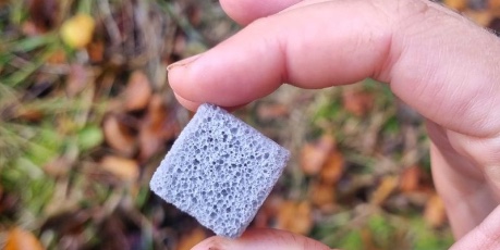 RhizoPellets, produced by Rhizocore Technologies and photo credit 