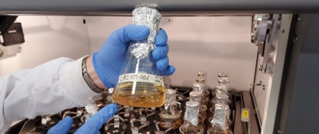 Rhizocore scientist in lab with formula in flask - credit Rhizocore Technologies