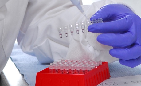 Lab work testing facilities - credit The University of Edinburgh