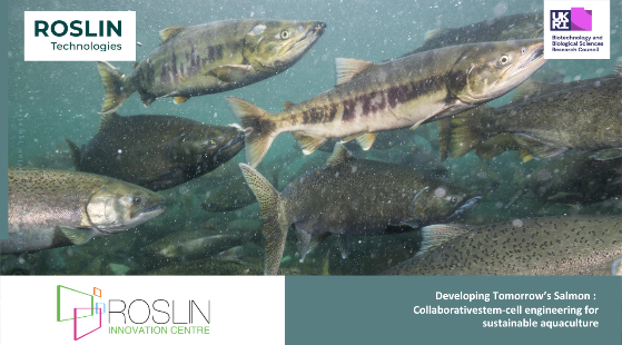 Roslin Technologies Case Study - CIA Award Roslin Innovation Centre