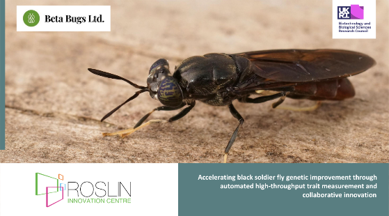 Beta Bugs Case Study - CIA Award Roslin Innovation Centre